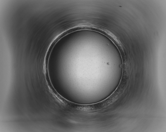 X0000116340791200912091109