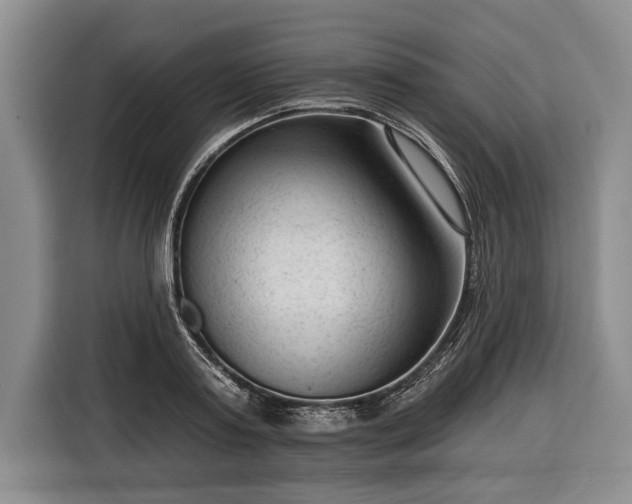 X0000116340795200912091108