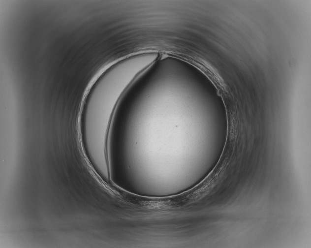 X0000116340796200912091108