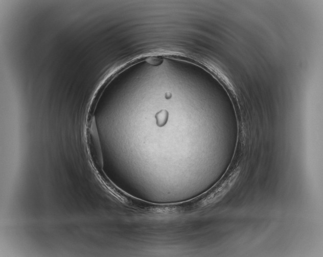 X0000116340797200912091108