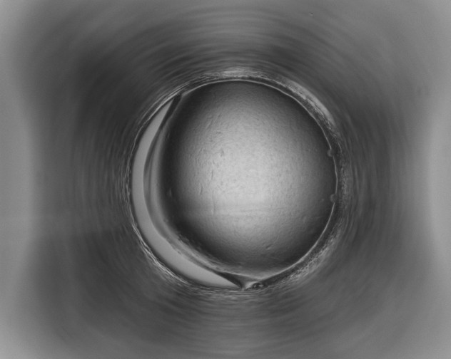 X0000116340801200912091108