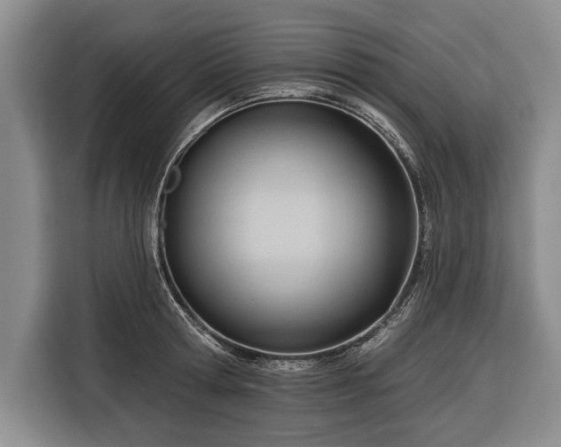 X0000116340802200912091108