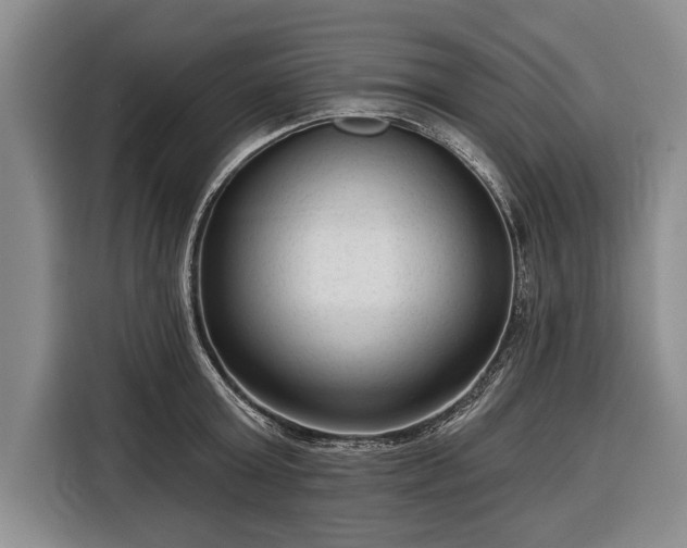 X0000116340803200912091108