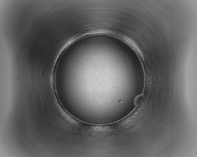 X0000116340805200912091108