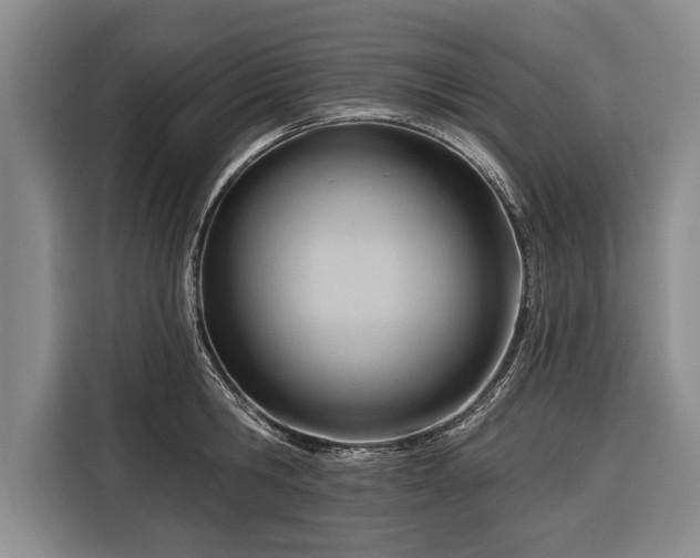 X0000116340806200912091108