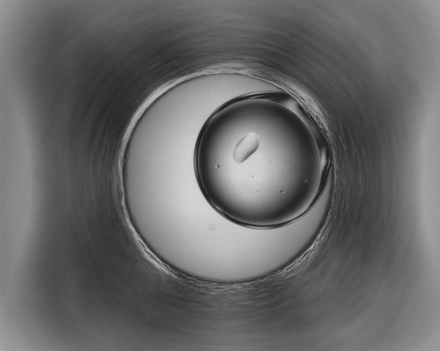 X0000116340808200912091108