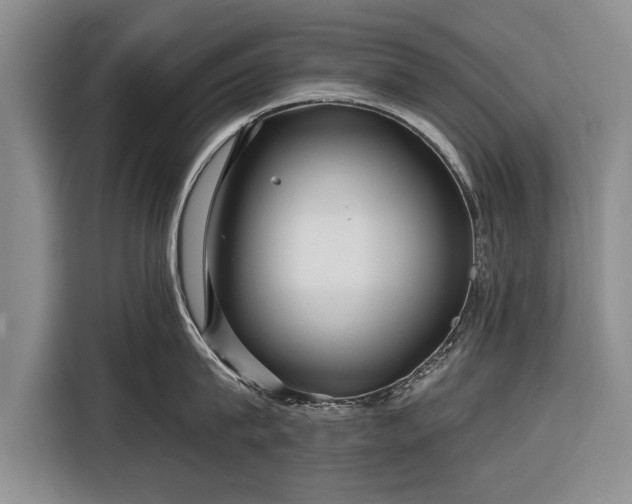 X0000116340815200912091108