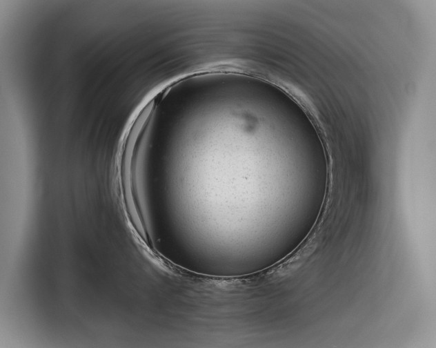 X0000116340816200912091108