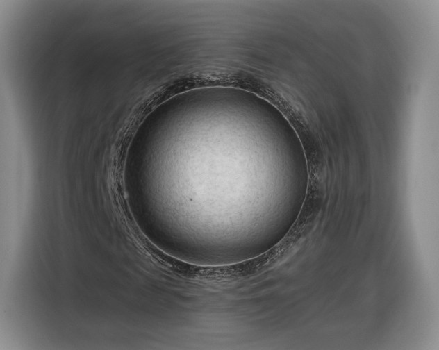 X0000116340817200912091108