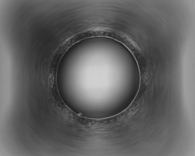 X0000116340821200912091108