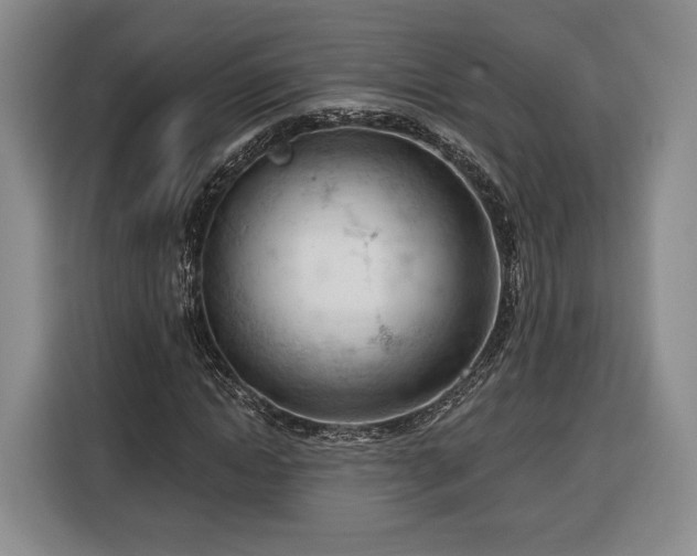 X0000116340822200912091108