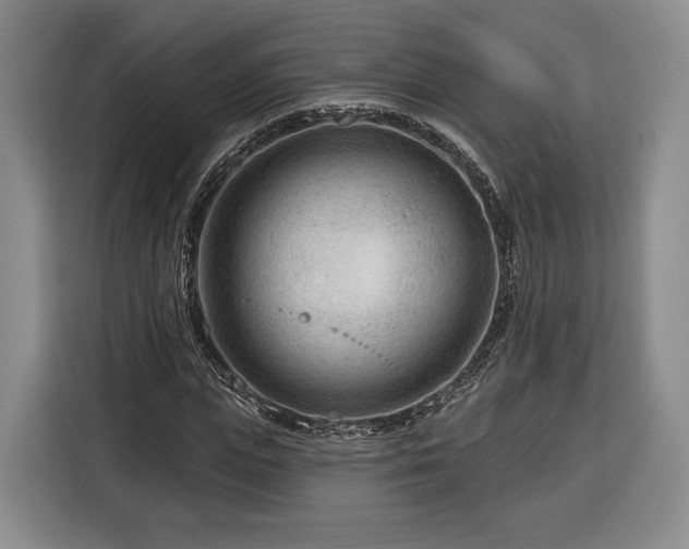 X0000116340823200912091108