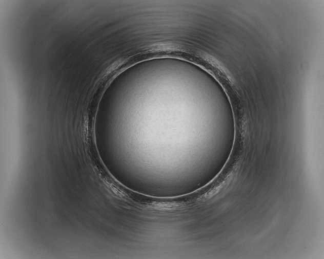 X0000116340825200912091108