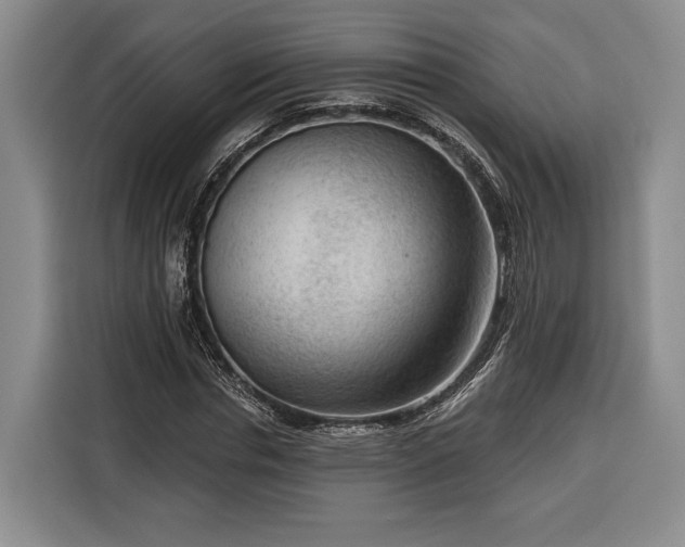 X0000116340826200912091108