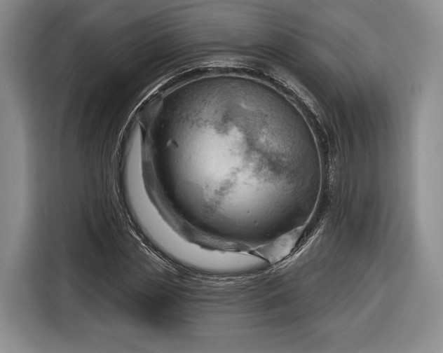 X0000116340829200912091108