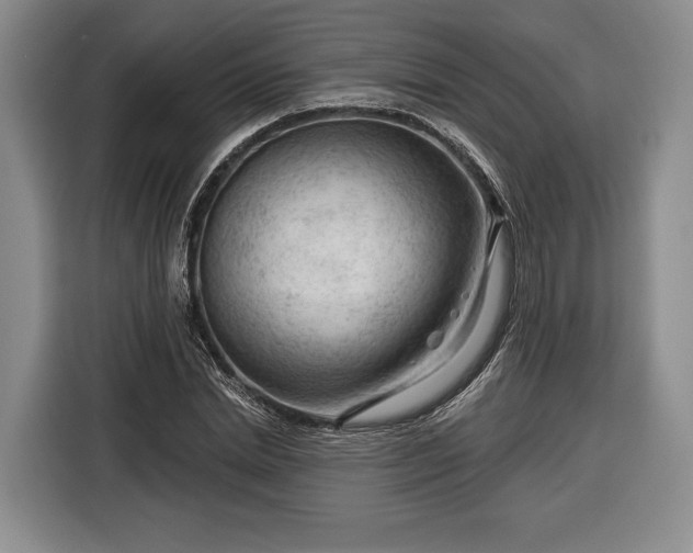 X0000116340830200912091108