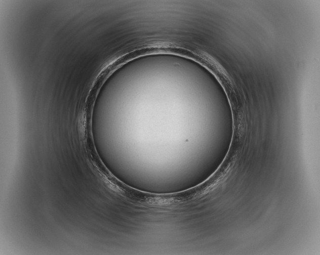 X0000116340831200912091108