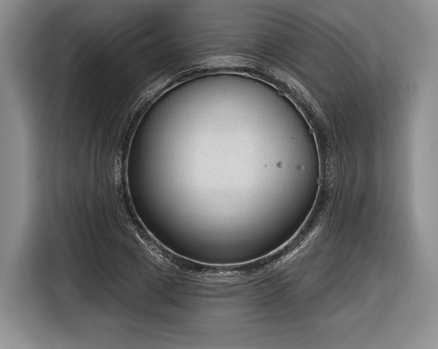 X0000116340833200912091108