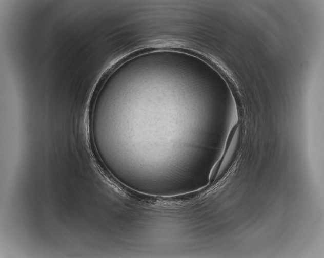 X0000116340840200912091108