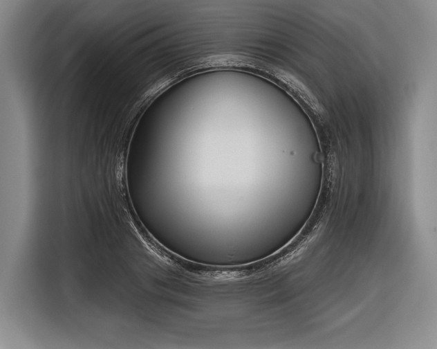 X0000116340841200912091108