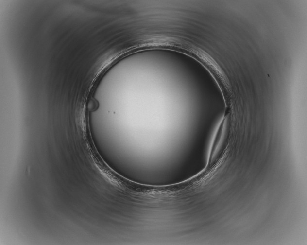 X0000116340842200912091108