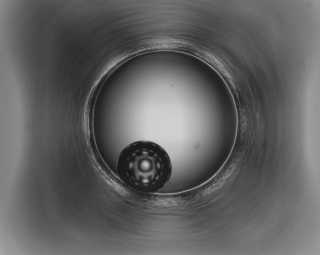 X0000116340843200912091108