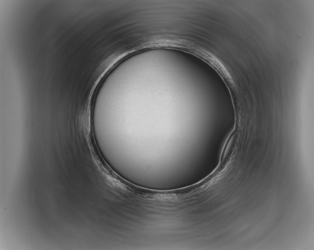 X0000116340844200912091108