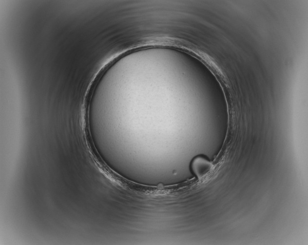 X0000116340846200912091108