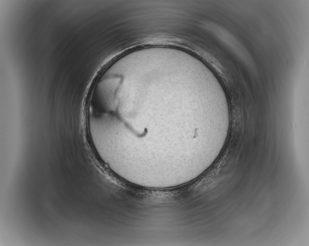 X0000116340848200912091108