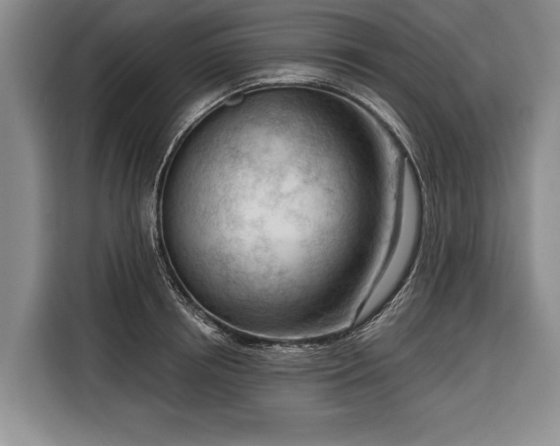 X0000116340850200912091108