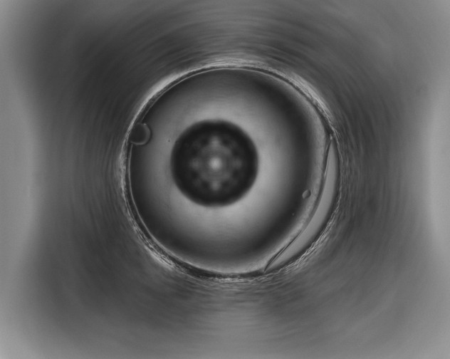 X0000116340854200912091108