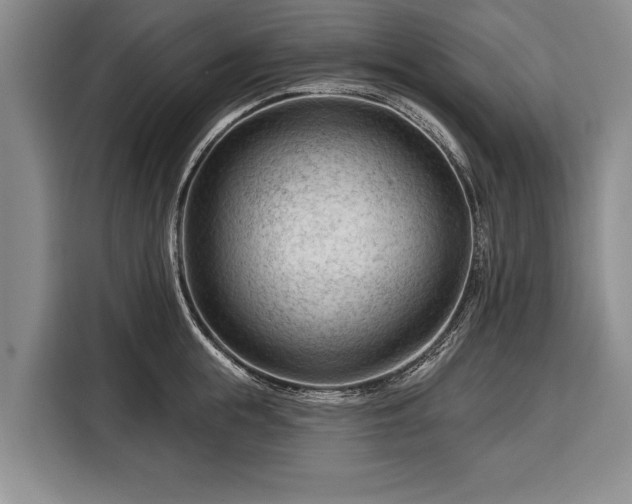 X0000116340855200912091108