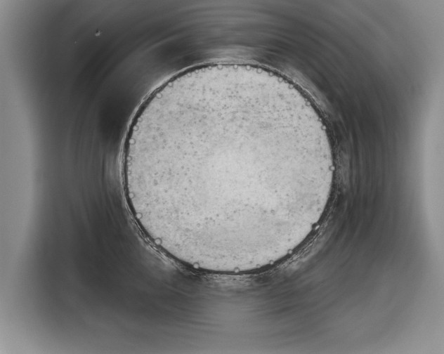 X0000116340856200912091108