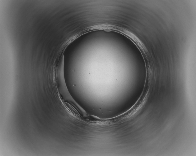 X0000116340857200912091108