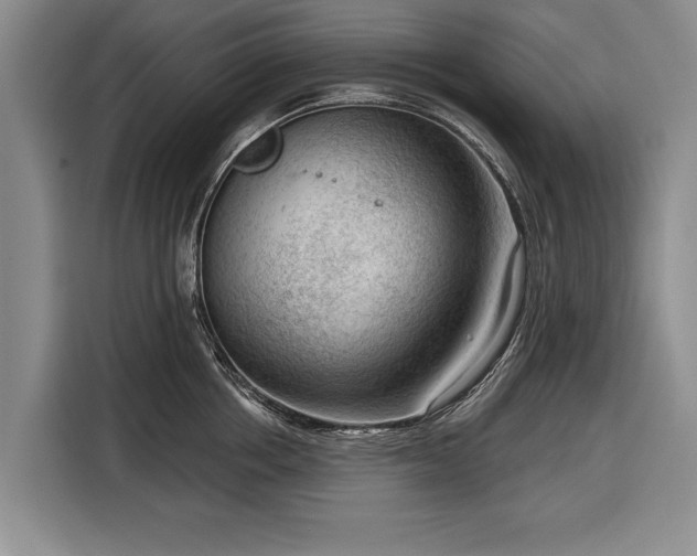 X0000116340858200912091108