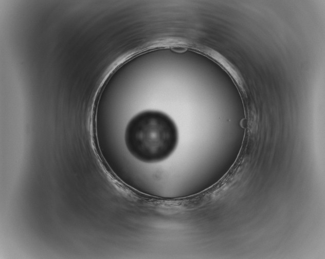 X0000116340861200912091108