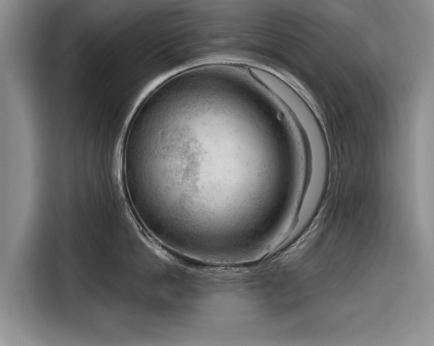 X0000116340862200912091108