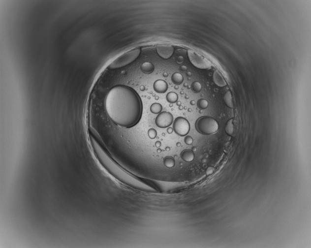 X0000116340863200912091108