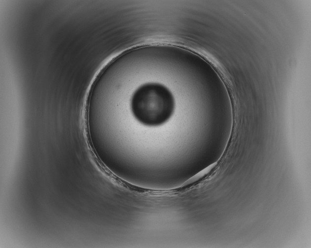 X0000116340864200912091108