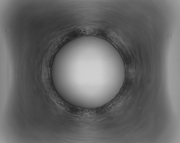 X0000116340865200912091108