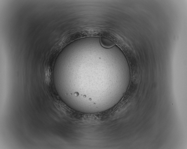 X0000116340866200912091108