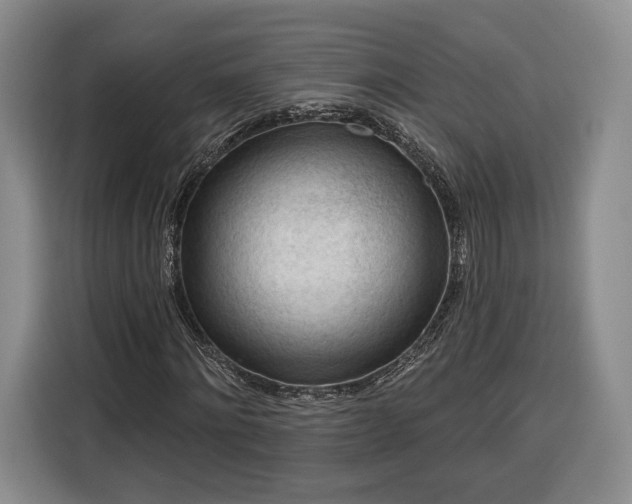 X0000116340868200912091108