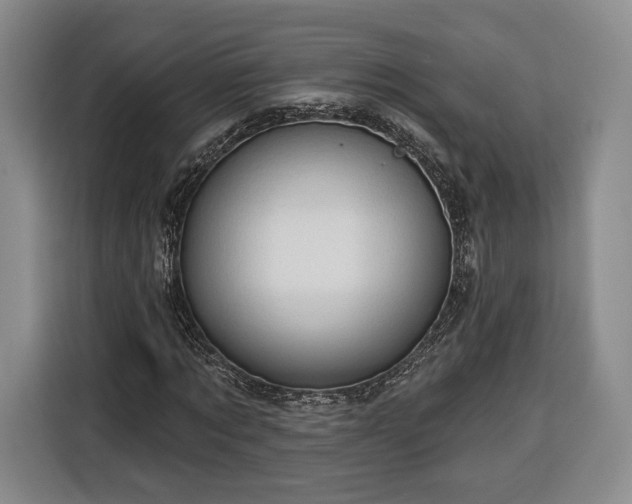 X0000116340869200912091108