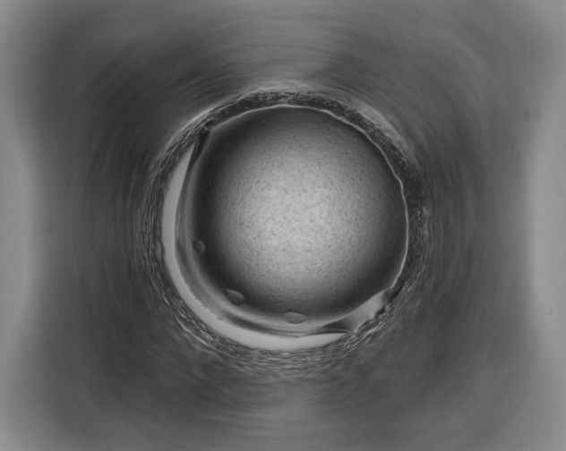 X0000116340872200912091107