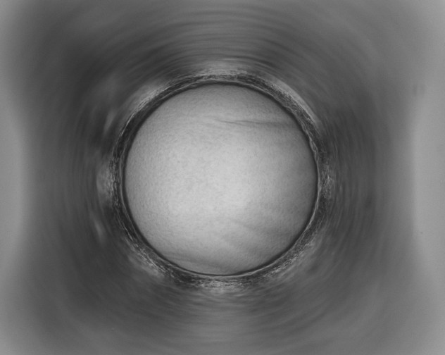 X0000116340874200912091107