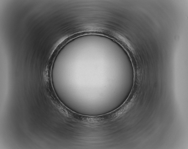 X0000116340875200912091107