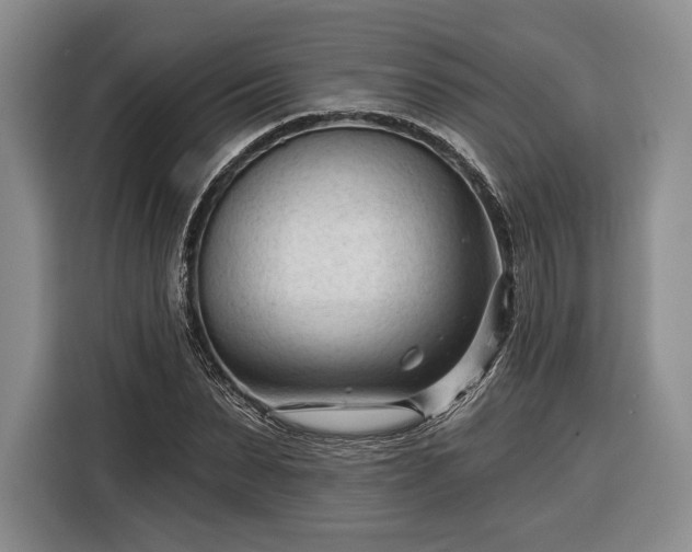 X0000116340879200912091107