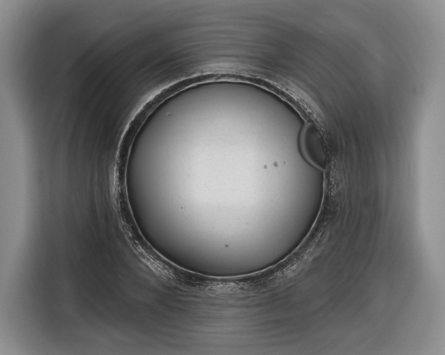 X0000116340880200912091107