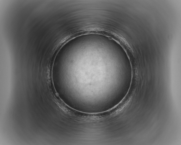 X0000116340881200912091107