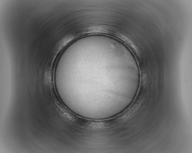 X0000116340882200912091107